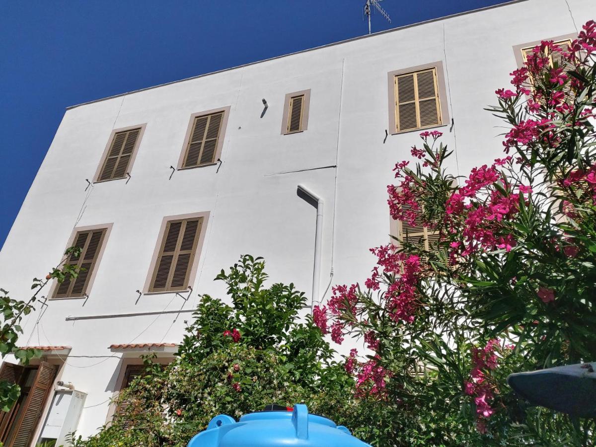 Whole Holiday Home Apartment Splendid Civitavecchia Da Pamino & Priscilla Exteriér fotografie